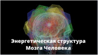 ПОЗВОНОЧНИК. НЕПОЗНАННОЕ - 2 часть
